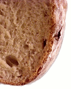 bread poets society
